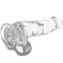 X RAY - HARNAIS + BITE TRANSPARENT AVEC BILLES 18.5 CM -O- 3.8 CM 2 