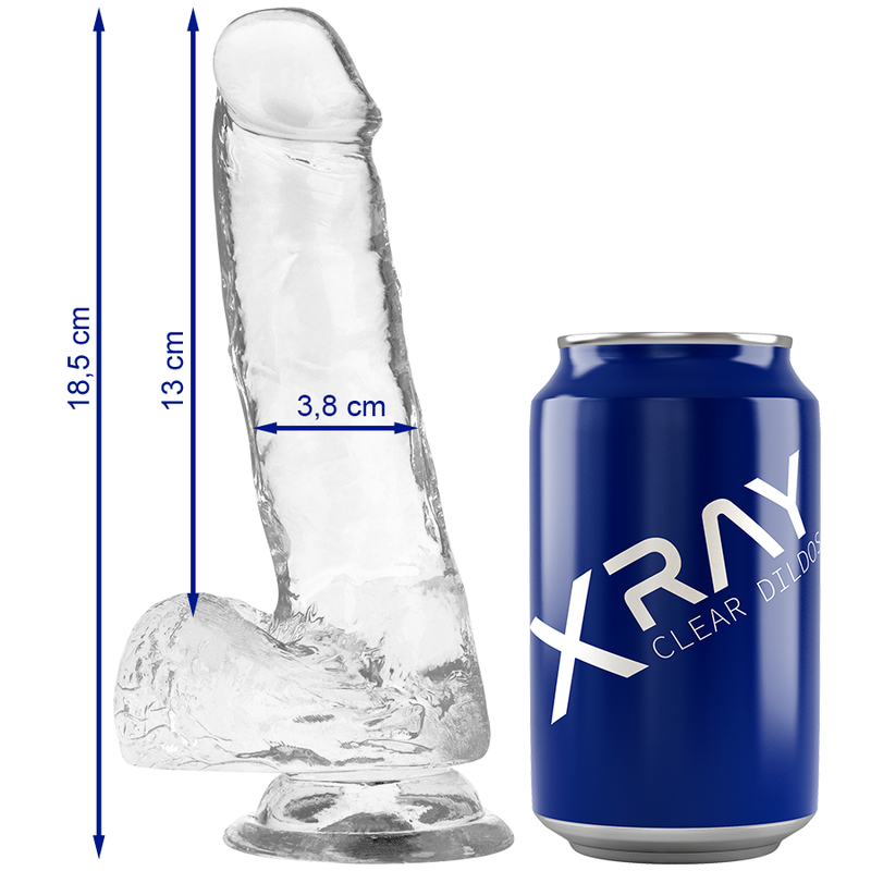 X RAY - HARNAIS + BITE TRANSPARENT AVEC BILLES 18.5 CM -O- 3.8 CM 5 