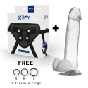 X RAY - HARNESS + COCK WITH BALLS 22 CM -O- 4.6 CM 1 