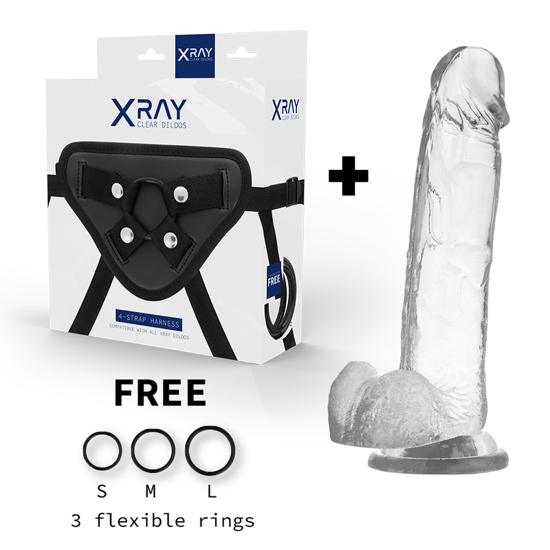 X RAY - HARNESS + COCK WITH BALLS 22 CM -O- 4.6 CM 1 