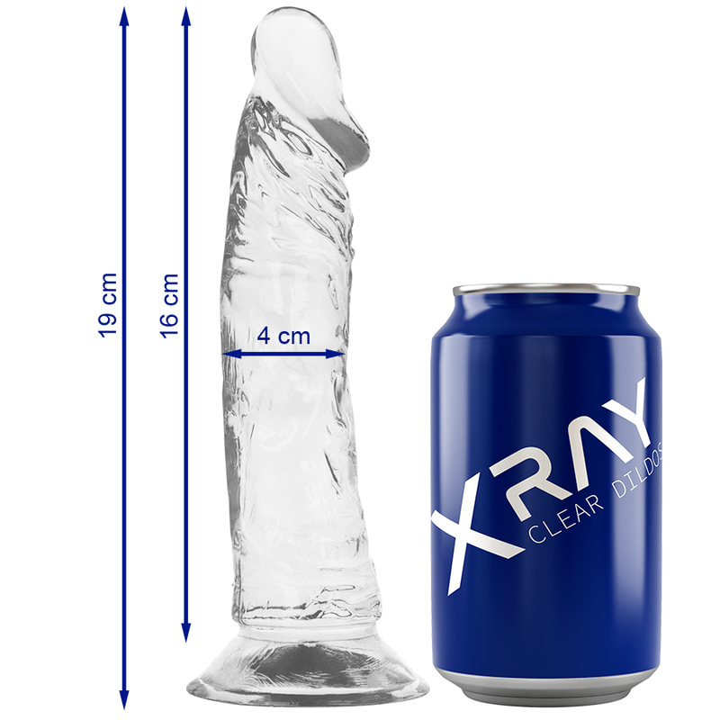 X RAY - HARNAIS + BITE TRANSPARENT 19 CM -O- 4 CM 6 