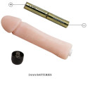 BAILE - VIBRATEUR GODE LOVE COMPANION 25 CM 3 