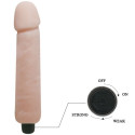 BAILE - DILDO VIBRATORE LOVE COMPANION 25 CM 5 