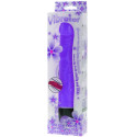 BAILE - VIBRATEUR DE MULTIVITESSES 21.5 CM VIOLET 1 