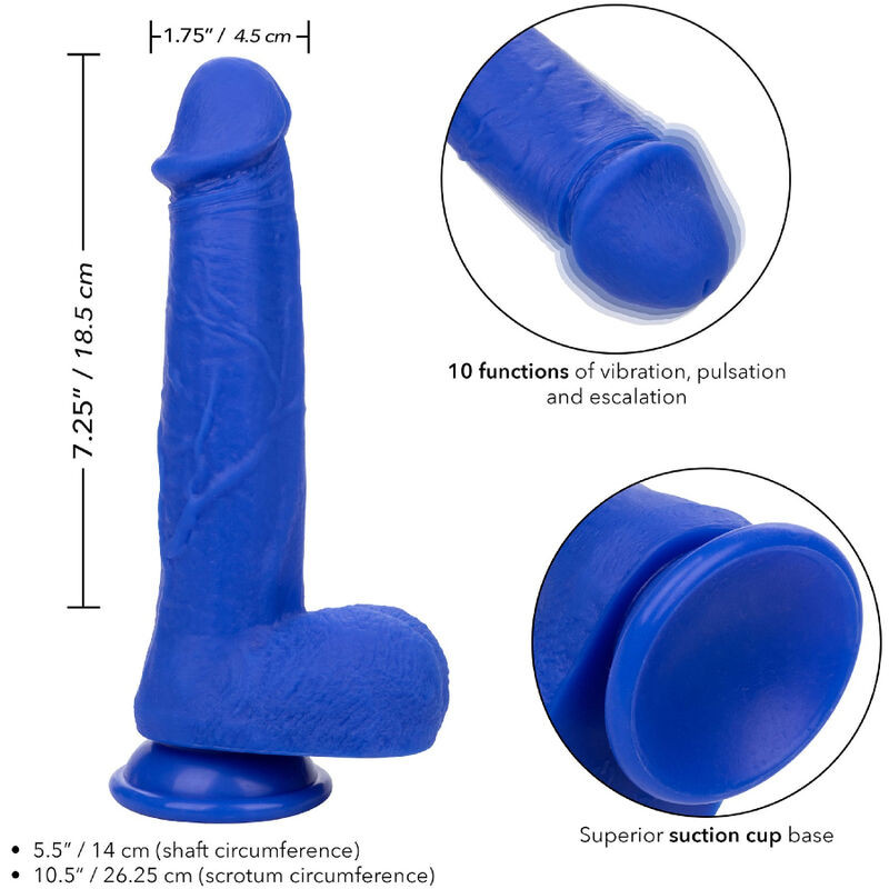 CALEXOTICS - ADMIRAL CAPTAIN REALISTIC DILDO VIBRATOR BLUE 3 