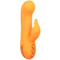 CALEXOTICS - MONTECITO MUSE VIBRATEUR LAPIN ORANGE PAR CALIFORNIA DREAMING 2 