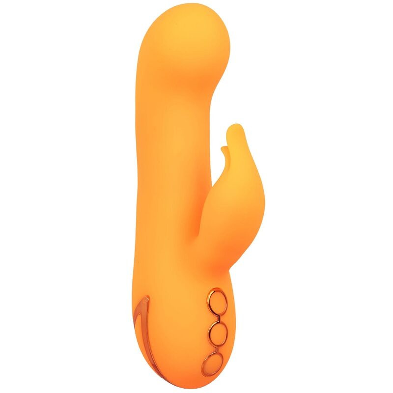 CALEXOTICS - MONTECITO MUSE VIBRATOR RABBIT ORANGE VON CALIFORNIA DREAMING 2 