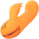 CALEXOTICS - MONTECITO MUSE VIBRATEUR LAPIN ORANGE PAR CALIFORNIA DREAMING 3 