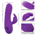 CALEXOTICS - MANHATTAN BEACH MARVEL VIBRATOR RABBIT LILA VON CALIFORNIA DREAMING 6 