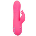 CALEXOTICS - SACRAMENTO SWEETIE VIBRATORE RABBIT PINK BY CALIFORNIA DREAMING 2 