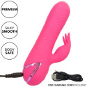 CALEXOTICS - SACRAMENTO SWEETIE VIBRATOR RABBIT PINK BY CALIFORNIA DREAMING 7 