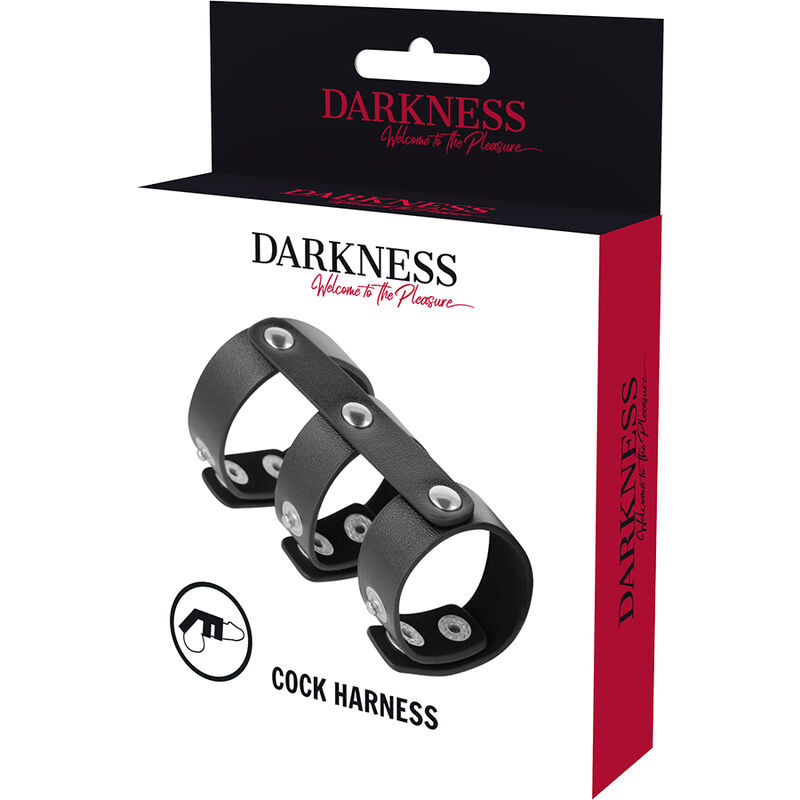 DARKNESS - ADJUSTABLE LEATHER DOUBLE PENIS AND TESTICLE RING 4 