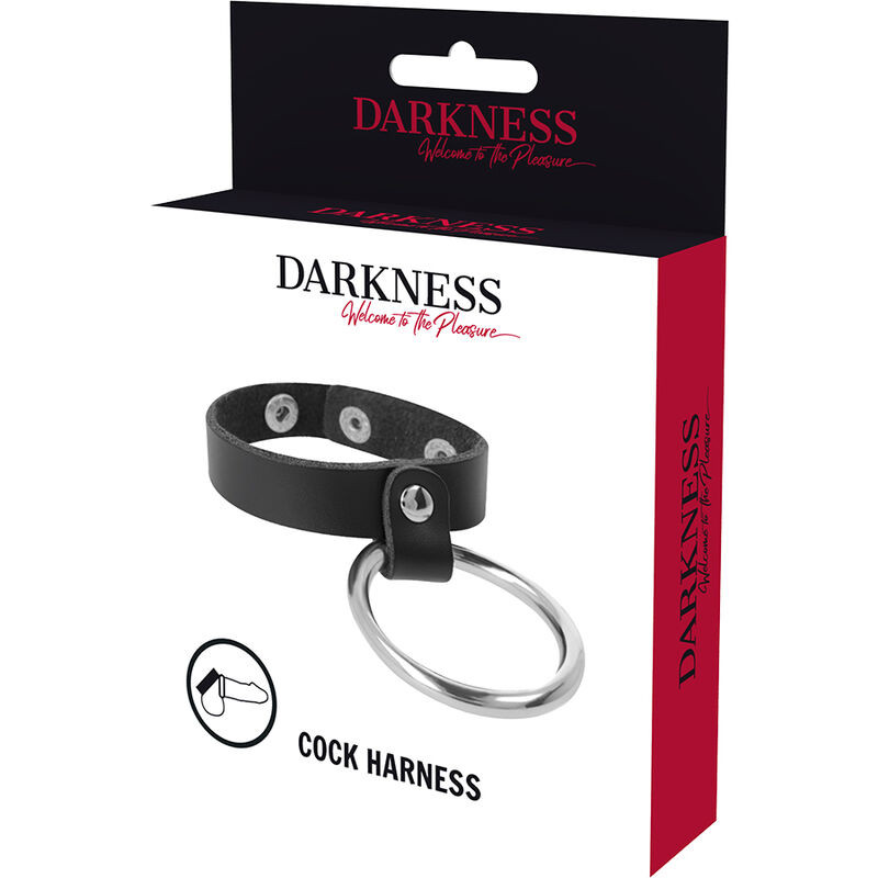 DARKNESS - METAL RING FOR THE PENIS AND TESTICLES 4 