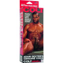 CALEXOTICS - COLT ADAM DEXTERS COCK 1 