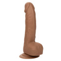 CALEXOTICS - SILICONE STUDS 15.24 CM BROWN 6 