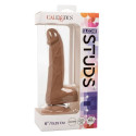 CALEXOTICS - SILICONE STUDS 15.24 CM BROWN 10 