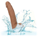 CALEXOTICS - SILICONE STUDS 20.32 CM BROWN 3 