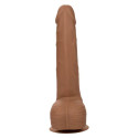 CALEXOTICS - SILICONE STUDS 20.32 CM BROWN 8 