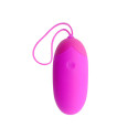 PRETTY LOVE - EGG BERGER REMOTE CONTROL 12 V 2 