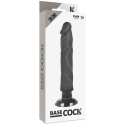 BASECOCK - VIBRATEUR RÉALISTE 2-1 NOIR 20 CM -O- 4 CM 5 