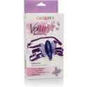 CALEXOTICS - SANS FIL VENUS PAPILLON 2 