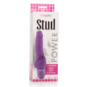 CALEXOTICS - POWER STUD CLITERRIFIC PURPLE VIBRATOR 2 