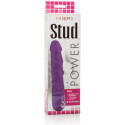 CALEXOTICS - POWER STUD ROD VIBRATOR 2 