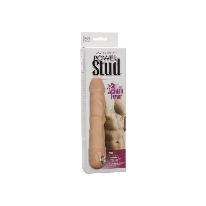 CALEXOTICS - POWER STUD ROD HAUTVIBRATOR 1 