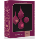 RITHUAL - ORCHID PELVIC TRAINING DEVA SET 8 