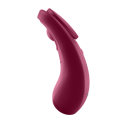 SATISFYER - SEXY SECRET PANTY 5 