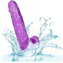 CALEXOTICS - GODE REINE TAILLE VIOLET 15.3 CM 6 