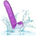 CALEXOTICS - DILDO REGINA TAGLIA VIOLA 20.3 CM 5 