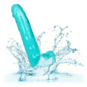 CALEXOTICS - DILDO REGINA TAGLIA BLU 20.3 CM 4 