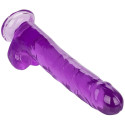 CALEXOTICS - SIZE QUEEN DILDO PURPLE 25.5 CM 2 