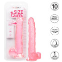 CALEXOTICS - DILDO REGINA TAGLIA ROSA 25.5 CM 1 