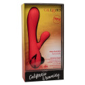 CALEXOTICS - PALISADES ROSSO PASSIONE 2 