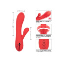 CALEXOTICS - PALISADES PASSION ROUGE 4 