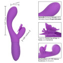 CALEXOTICS - PAPILLON KISS FLUTTER VIOLET 2 