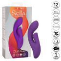 CALEXOTICS - STELLA DUAL PLEASER VIOLA 1 