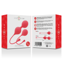 INTENSE - PACK PALLE KEGEL KENDALL ROSSO 3 