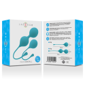 INTENSE - KEGEL BALLS PACK KENDALL BLUE 3 