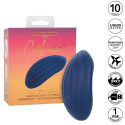 CALEXOTICS - CASHMERE CURVA VELLUTO BLU 1 