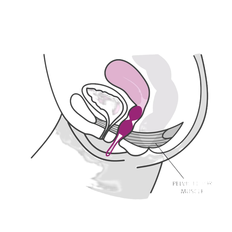 FUN FACTORY - SMARTBALLS DUO PALLE PELVICHE BIANCO / VIOLA PASTELLO 2 