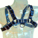 LEATHER BODY - BLUE AND BLACK LEATHER HARNESS CHEST BULLDOG 1 