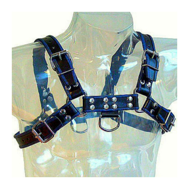 LEATHER BODY - BRUST BULLDOG HARNESS SCHWARZ / BLAU LEDER 1 