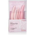 CALEXOTICS - INSPIRE SILIKON-DILATATOR 5 TEILIGES SET 2 