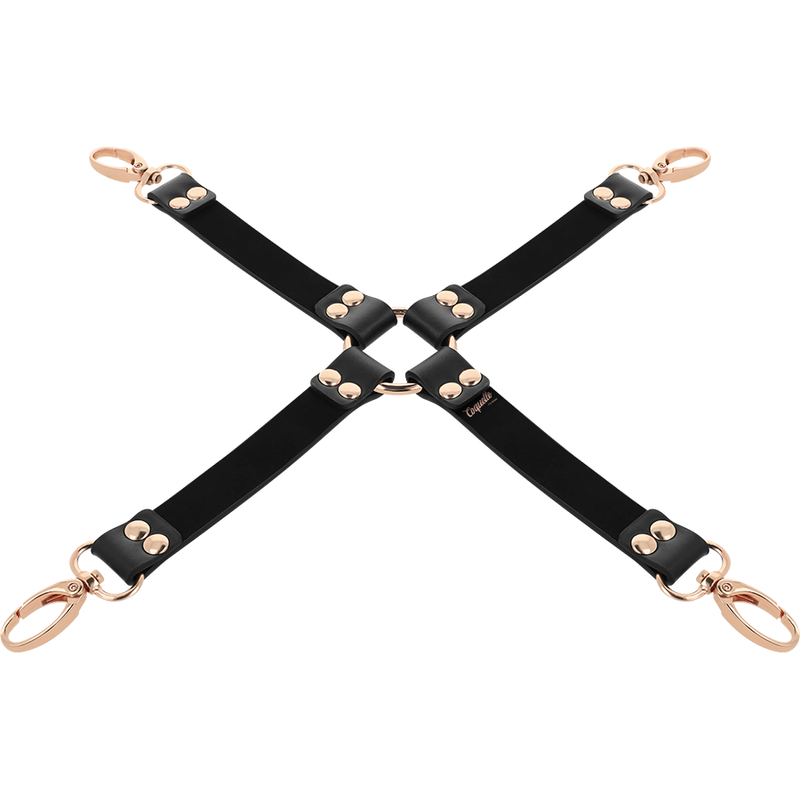 COQUETTE CHIC DESIRE - FANTASY VEGAN LEATHER HOG TIE 2 