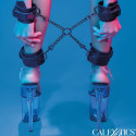 CALEXOTICS - EUPHORIA HOG TIE 7 