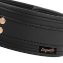 COQUETTE CHIC DESIRE - FANTASY VEGAN LEATHER COLLAR WITH NEOPRENE LINING 6 