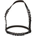 CALEXOTICS - EUPHORIA PLUS SIZE HALTER BUCKLE HARNESS BLACK 3 